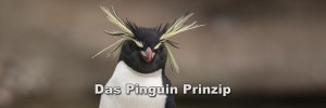 Das Pinguin Prinzip