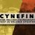 Cynefin - Welcher Lösungsansatz passt zu welcher Situation